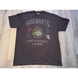 Harry Potter Hogwarts School of Witchcraft & Wizardry Graphic T-Shirt Gray Large